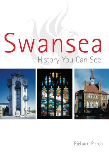 Swansea History You Can See by Richard Porch