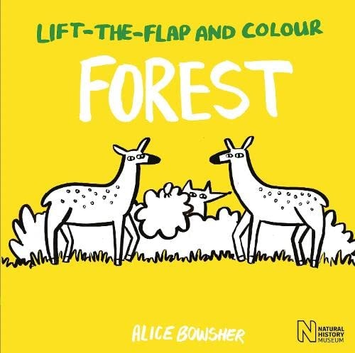 Lift-the-flap and Colour Forest by Natural History Museum