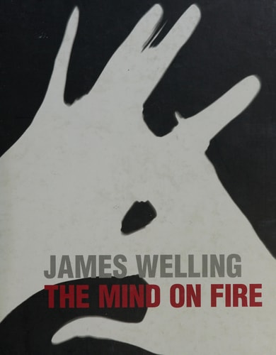 James Welling: The Mind on Fire by James Welling