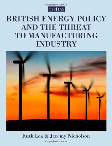 British Energy Policy and the Threat to Manufacturing Industry by Ruth Lea, Jeremy Nicholson