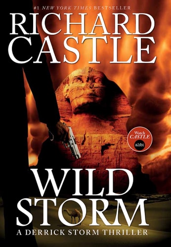 Wild Storm: A Derrick Storm Novel by Richard Castle