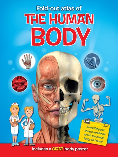 Fold-Out Atlas of the Human Body by Terry Alton