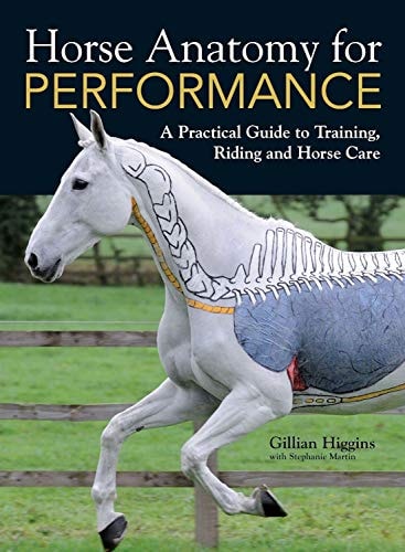 Horse Anatomy for Performance by Gillian Higgins