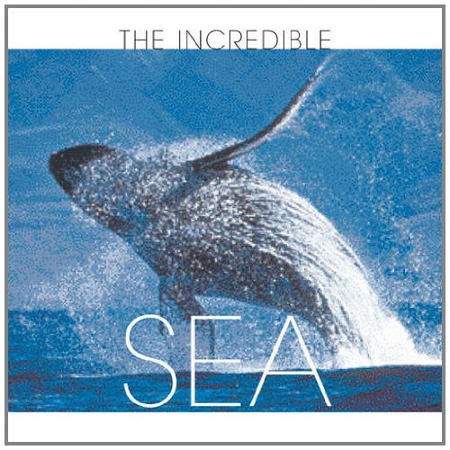 The Incredible Sea by Valeria Manferto