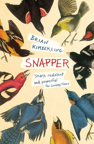 Snapper by Brian Kimberling