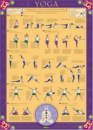 Yoga Poster by Unknown