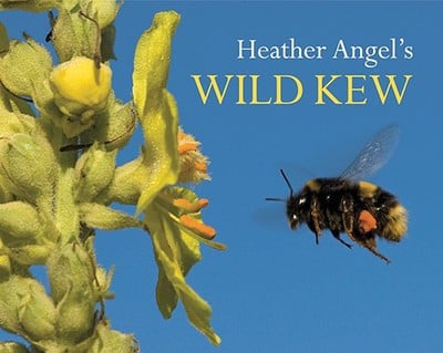 Heather Angel's Wild Kew by Heather Angel
