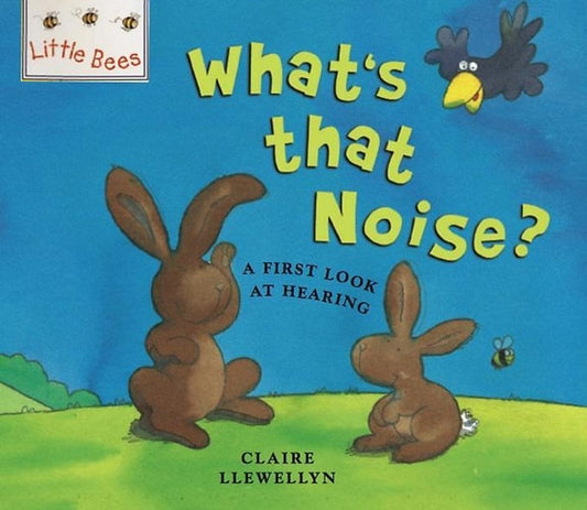 Little Bees What's That Noise Little Bees: What's That Noise by Claire Llewellyn
