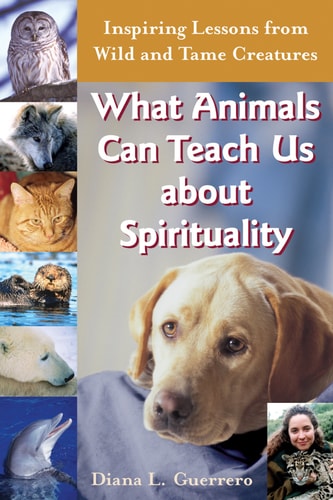 What Animals Can Teach Us About Spirituality: Inspiring Lessons from Wild and Tame Creatures by Diana L. Guerrero