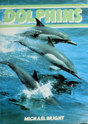 Dolphins by Michael Bright