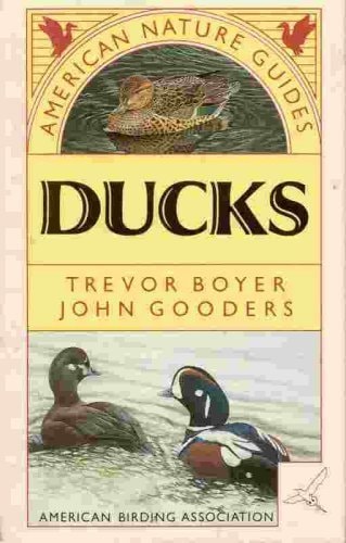 Ducks by Trevor Boyer