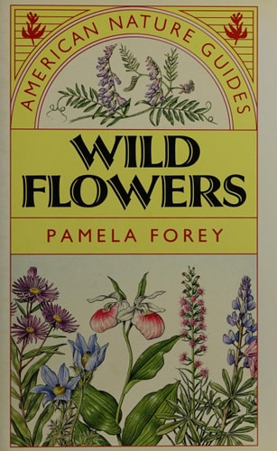 American Nature Guide to Wildflowers by Pamela Forey