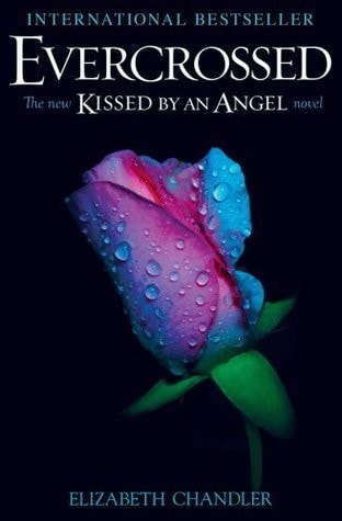 Hush, Hush by Becca Fitzpatrick
