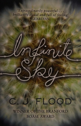 Infinite Sky by C. J. Flood