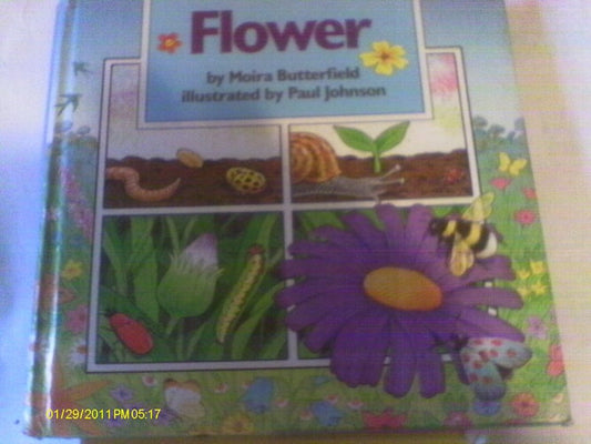 Flower (Nature Chains) by Moira Butterfield