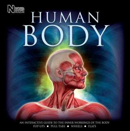 Human Body: An Interactive Guide to the Inner Workings of the Body by Steve Parker