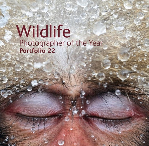 Wildlife Photographer of the Year: Portfolio 22 by Rosamund Kidman Cox