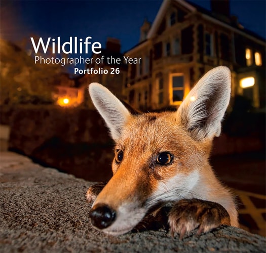 Wildlife Photographer of the Year Portfolio 26 by Rosamund Kidman Cox