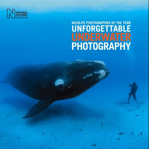 Wildlife Photographer of the Year: Unforgettable Underwater Photography
