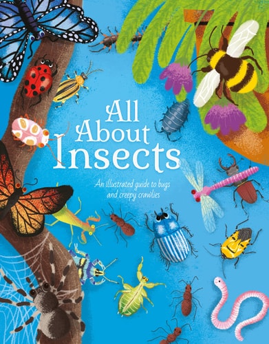 All About Insects An Illustrated Guide to Bugs and Creepy-crawlies by Polly Cheeseman
