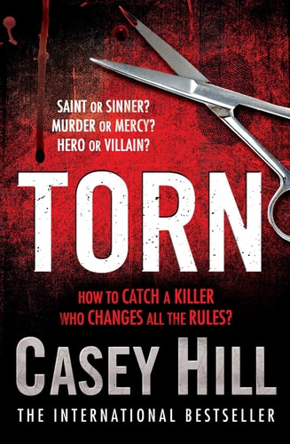 Torn by Casey Hill