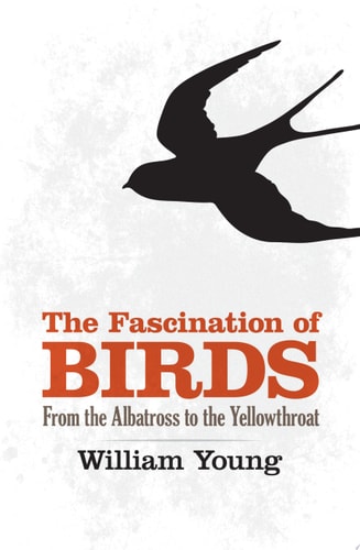 The Fascination of Birds From the Albatross to the Yellowthroat by William Young
