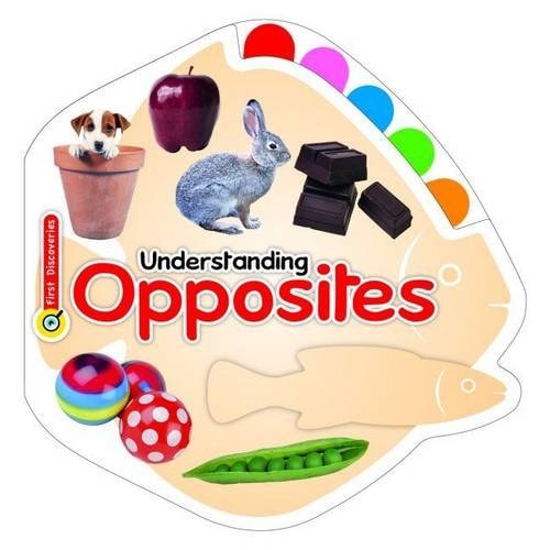 Understanding Opposites. by Euro Impala UK Limited