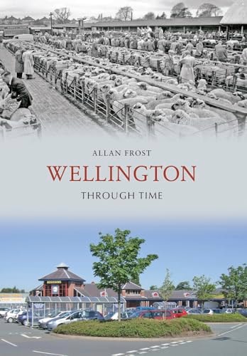 Wellington Through Time by Allan Frost
