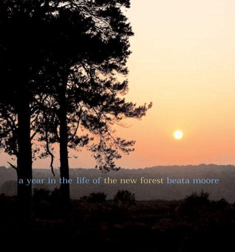 A A Year in the Life of the New Forest by Beata Moore