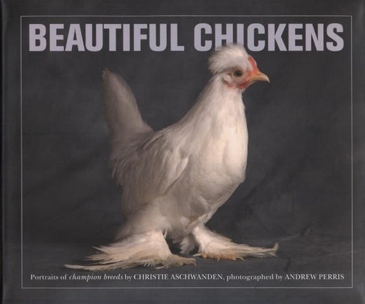 Beautiful Chickens by Christie Aschwanden