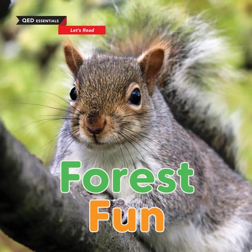 Forest Fun (QED Essentials: Let's Read) by Zoë Clarke