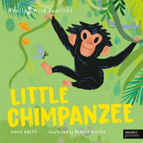 Little Chimpanzee A Day in the Life of a Baby Chimp by Anna Brett