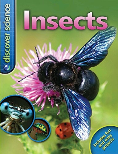 Insects by Barbara Taylor