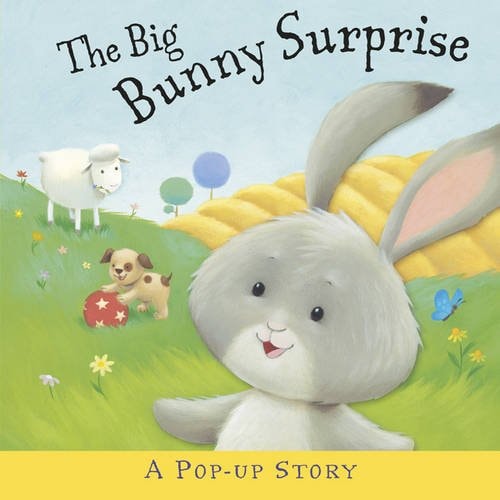 The Big Bunny Surprise by Liza Miller