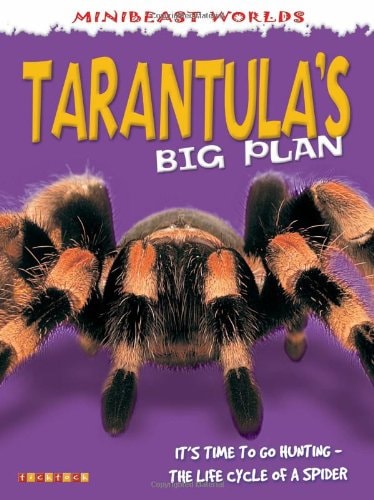 Mb Tarantulas Big Plan (Mini Beasts) by twist-clint