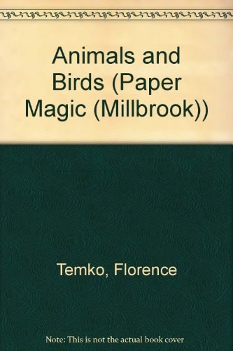Paper Magic Planes and other flying things by Florence Temko
