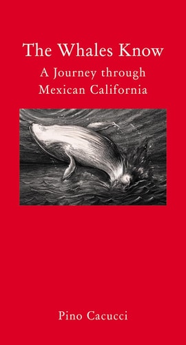 The Whales Know: A Journey through Mexican California (Armchair Traveller) by Pino Cacucci