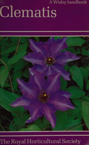 Clematis (Wisley) by Jim Fisk
