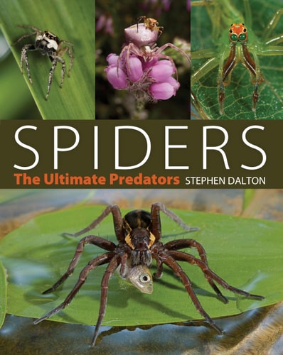 Spiders The Ultimate Predators by Stephen Dalton