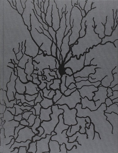 ALBERTO DI FABIO INSOMNIA /ANGLAIS by XXX