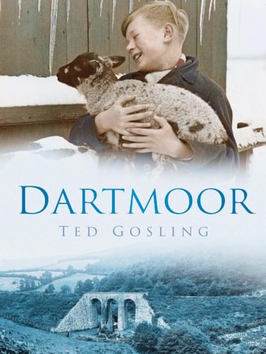 Dartmoor by Gosling