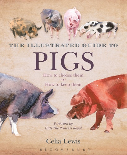 The Illustrated Guide to Pigs How to Choose Them - how to Keep Them by Celia Lewis