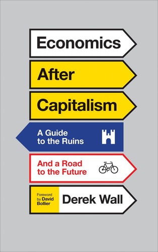Economics After Capitalism A Guide to the Ruins and a Road to the Future by Derek Wall