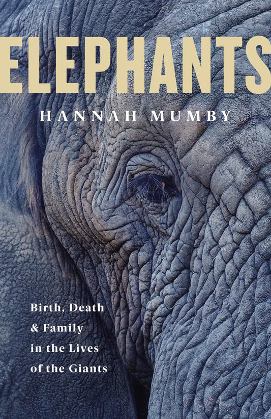 The Elephant in the Mirror by Dr Hannah Mumby