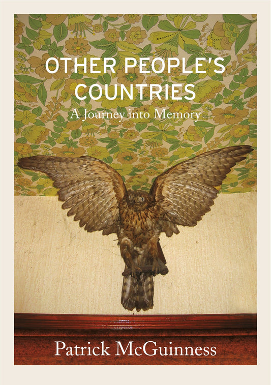 Other people's countries:a journey into memory by Patrick McGUINNESS