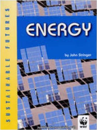Energy (Sustainable Futures) by John Stinger