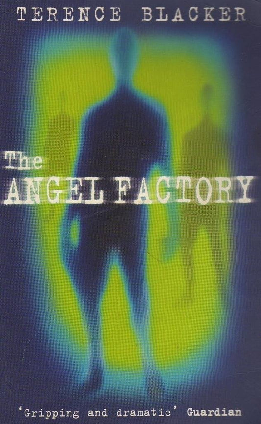 The Angel Factory by Terence Blacker