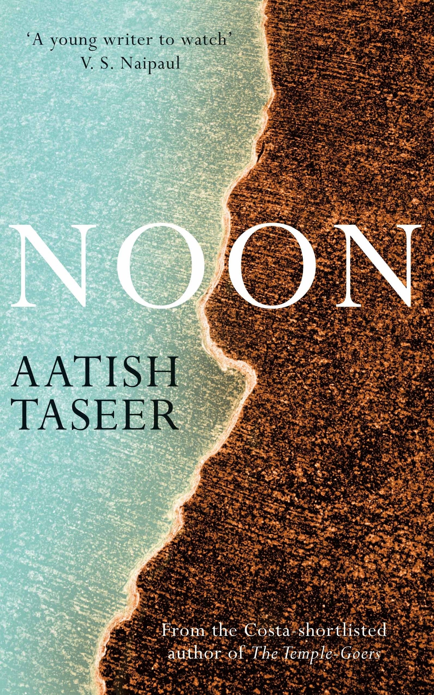 Noon by Aatish Taseer