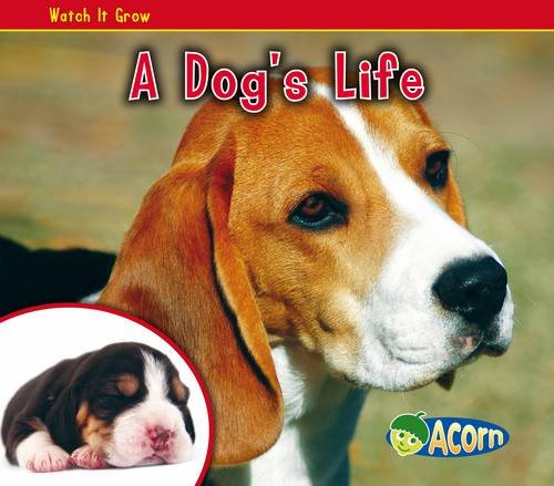 A Dogs Life (Watch It Grow) by Nancy Dickmann
