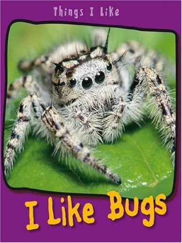 I Like Bugs (Things I Like) by Angela Aylmore